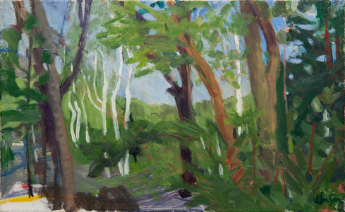 A Stand of Birch, 2016 (oil on canvas)