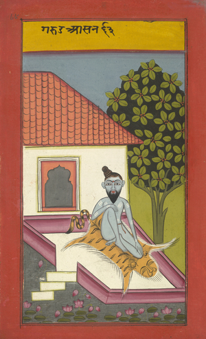 A yogi