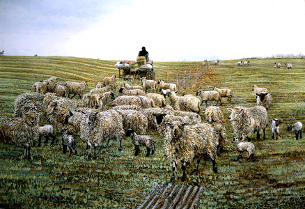 Spring Lambs Tredustan