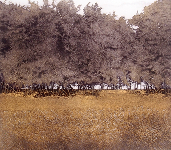 Coppice, 1976 (etching and aquatint)