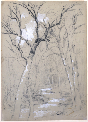 A Brook in the Woods, 1854 (graphite, white gouache, and white lead pigment on gray-green paper)