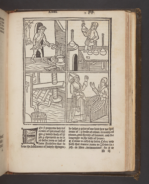 'De proprietatibus rerum' by Bartholomaeus Anglicus (print)