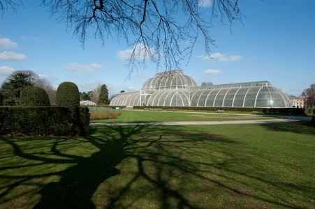 Palm House, 2011 (photo)