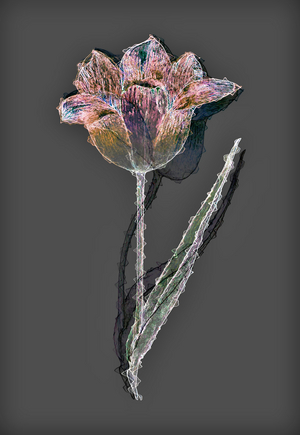 Flower,2020,(mixed media)