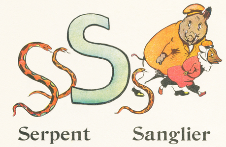 S: Snake, Boar