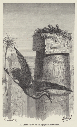 Crane's Nest on an Egyptian Monument (engraving)