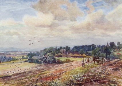 "Hungry" Grafton (colour litho)