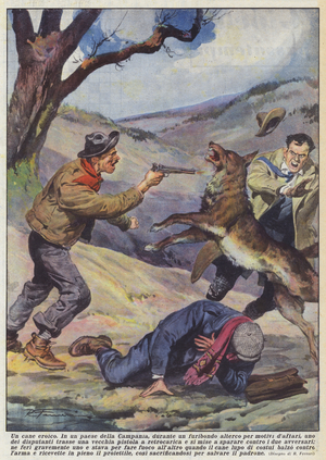 A heroic dog (colour litho)