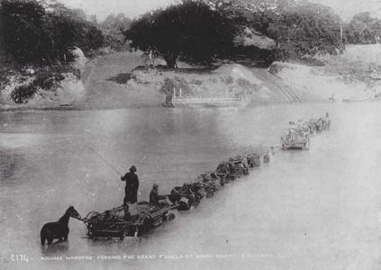 Bullock Waggons Fording the Great Tugela River at Bond's Drift, Zululand (b/w photo)