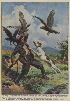 The Hunt to the hunter (colour litho)