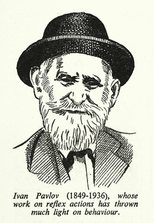 Ivan Pavlov, 1849-1936, whose work on reflex actions has thrown much light on behaviour (litho)