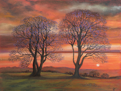 Sunlight through trees, 2020 (pastel)