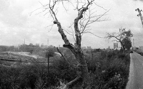 Ruhr Area in the years 1965 to 1971 DEU, Germany, Ruhr Area Negative Highlights …, 1965 (photo)