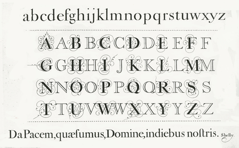 Specimen typefaces