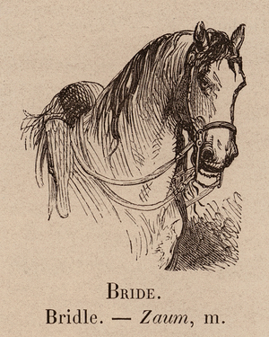 Le Vocabulaire Illustre: Bride; Bridle; Zaum (engraving)