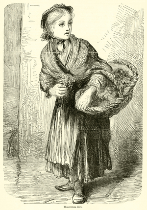 Watercress Girl (engraving)