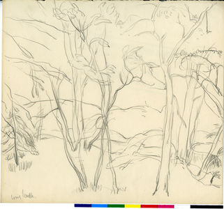 Landscape Through Trees (pencil on paper)