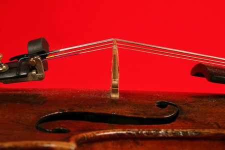 Vioin bridge and strings