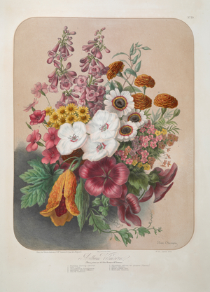 A bouquet of flowers