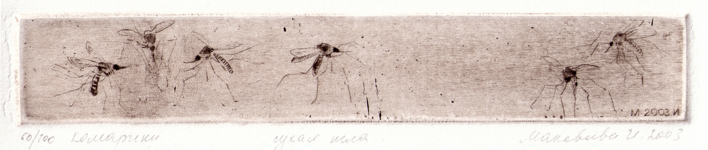 Mosquitos, 2003 (drypoint)