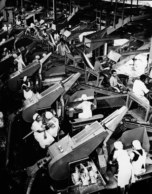 High angle view of workers working in a pineapple processing plant, Honolulu, Oahu, Hawaii, USA