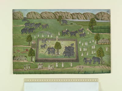 The Book of Curiosities, 17th-18th centuries (miniature)
