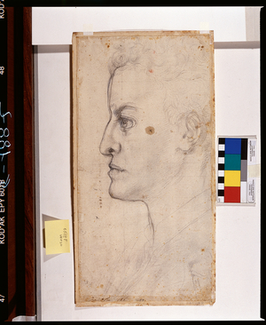 Portrait of Cosimo de'Medici, verso (drawing)