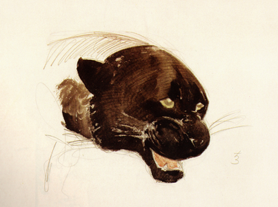 Head of a Black Panther, 1938 (w/c on paper)