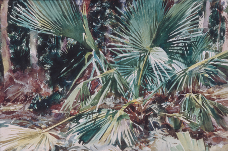 Palmettos, 1917 (w/c, graphite, and wax crayon on white wove paper)