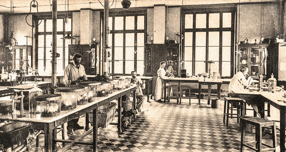 Classroom, Institut Pasteur, Paris, France, c.1905 (postcard)