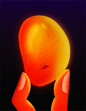 Amber, 2020 (digital illustration)