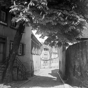 Scenic view to a little lane at Hambach in the Weinstrasse region, Germany 1930s (b/w photo)