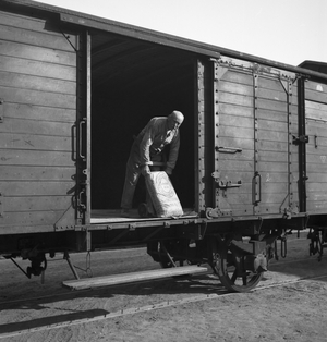 A day on a construction area of the Deutsche Reichsbahn, Germany 1930s (b/w photo)