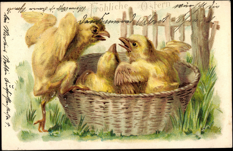 Embossing congratulations Easter, chicks quarrel in the basket