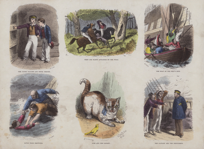 Page from the Attractive Picture Book (coloured engraving)