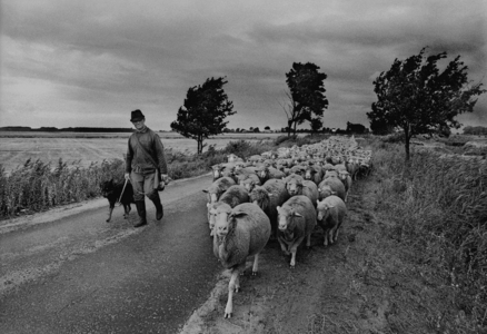 Brandenburg, Schaefer, 1990 (photo)
