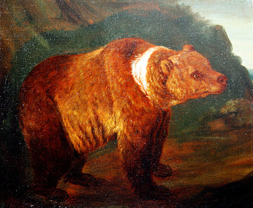 A Brown Bear in a Landscape, c.1719 (oil on canvas)