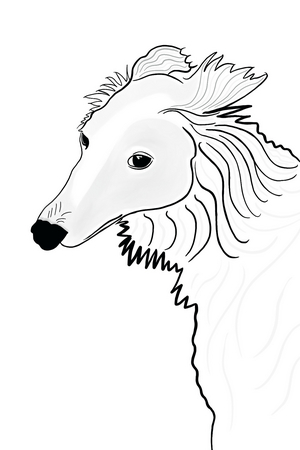 Line Drawing of Silken Windhound (digital art)