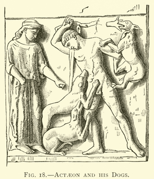 Actaeon and his Dogs (engraving)