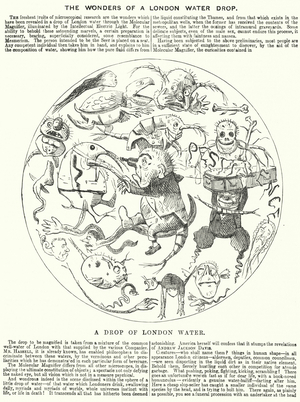 Punch cartoon: The Wonders of a London Water Drop (engraving)