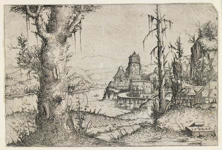 Large Tree and Castle on a Lake, 1546