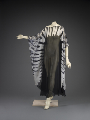 Evening Dress (photo)