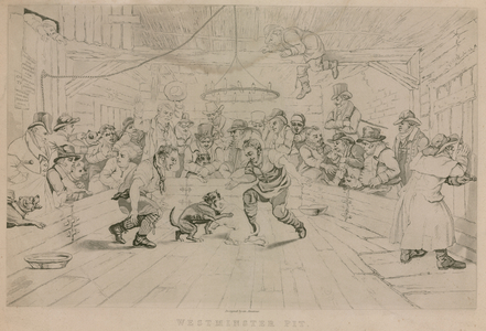 Westminster Pit (engraving)