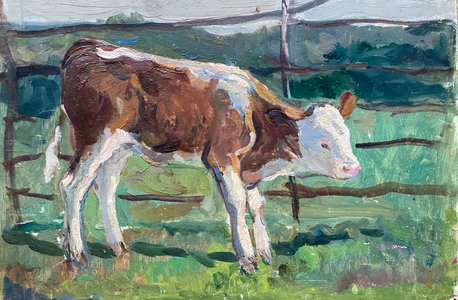 Calf, 1955 (oil on card)