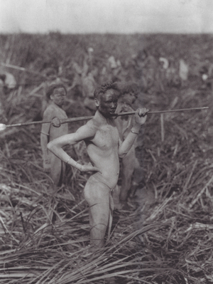 Africa: Nuer warriors in swamp (b/w photo)