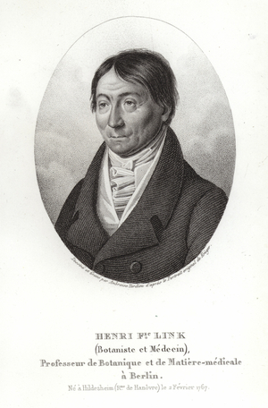Johann Heinrich Friedrich Link (engraving)