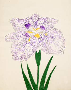 Yamato-Nishiki, No. 31, 1890 (colour woodblock print)
