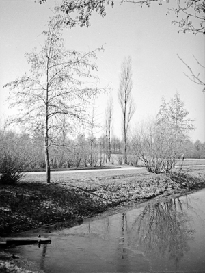 Public park at Oberteich lake at Koenigsberg, East Prussia 1930s (b/w photo)