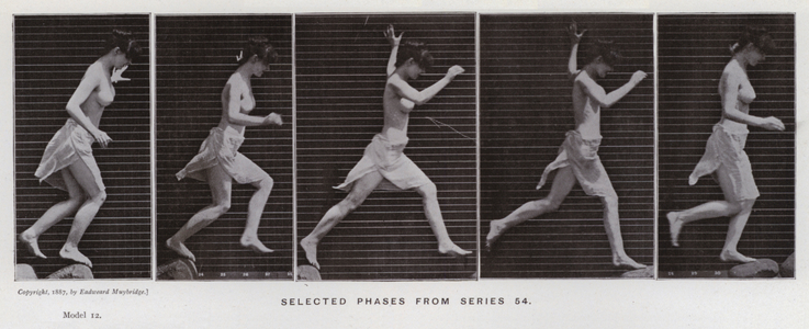 The Human Figure in Motion: Selected phases from series 54 (b/w photo)