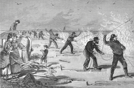 Mullet Fishing on Long Island USA, 1881 (engraving)
